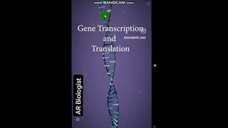 PROTEIN SYNTHESISDemonstrationExplanationUrduEnglish [upl. by Ahsilla]