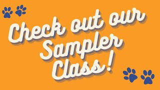 Enroll in our Sampler Class [upl. by Saloma]