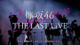 Keyakizaka46 The Last Live Concert – DAY 2 20201013 [upl. by Theodora]