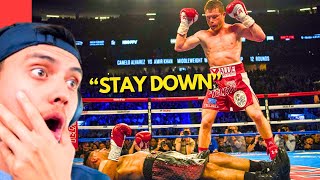 Canelo Alvarez BEST Knockouts [upl. by Darline]