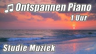 PIANO Instrumentale 1 uur Klassieke Muziek voor Studeren Afspeellijst Mooie Ontspannende Sudie lied [upl. by Utta329]