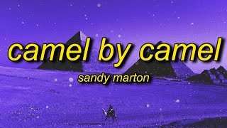 Sandy Marton  Camel by Camel  zone tan ankha music animal crossing egyptian cat song [upl. by Htidirrem938]