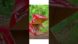 DIY Cardboard Box Parrot Trap Quick amp Easy Technique ytshorts shortsfeed parrots trap [upl. by Williams13]