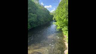 Beaverkill river in roscoe NY trout fishing troutbum [upl. by Timon707]