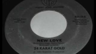 24 Karat Gold  New Love [upl. by Neeliak]