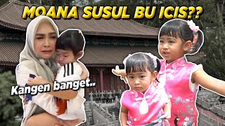 DETIKDETIK MOANA NYUSUL BU ICIS Ke China [upl. by Ellie215]