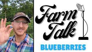 Lets Talk Farm Talk Blueberries [upl. by Ezara]