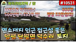 10531 양평 토지매매  500년 느티나무옆 접근성 좋은 계획관리지역 다용도 토지 상수도 인입 하수처리구역 전원주택지 농막지  양평토지 양평땅 단월면 토지 덕수리 토지 [upl. by Sillihp]