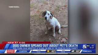 Dog owner speaks about about pets death [upl. by Pevzner]