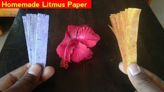 अब घर पे बनाये Litmus Paper  Easiest Way To Make Litmus Paper At Home [upl. by Arahsal]