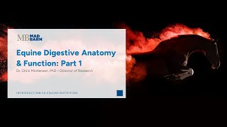 12  Digestive Anatomy Part 1  Introduction to Equine Nutrition  Mad Barn Academy [upl. by Elon]