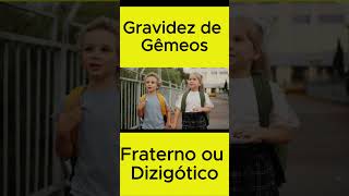 Gravidez de Gêmeos Fraterna ou Dizigótica shorts shortvideo [upl. by Aissak993]