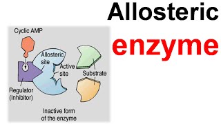 Allosteric enzyme [upl. by Alyahsat]