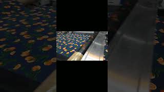 অল ওভার প্রিন্টিং machine Textile amp Printing vlogshorts [upl. by Niarfe532]