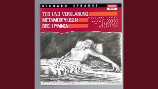 3 Hymnen von Friedrich Hölderlin Op 71 TrV 240 I Hymne an die Liebe [upl. by Alleira]