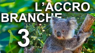 LACCROBRANCHE 3  PAROLE DANIMAUX [upl. by Leschen]