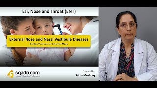 External Nose and Nasal Vestibule Diseases  ENT Lectures  Medical Student  VLearning [upl. by Sirrah]