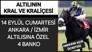 14 Eylül 2024 Ankara İzmir Altılı ganyan tahminleri Altılı ganyan Altılı yorumları Tjk [upl. by Rubenstein]