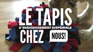 Le tapis denrichissement pour chiens snuffle mat [upl. by Erma]