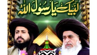 Allama Saad Hussain rizvi trending status youtubeshorts shortsfeedforyou [upl. by Nnaillij795]