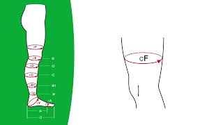 How to measure your lower limbs for made to measure VENOSAN Compression Stockings [upl. by Tehcac]