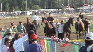 Kikino Rodeo OpenStock Flatrace 2009 [upl. by Merkle]