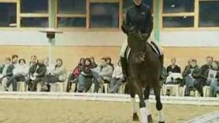 DVD  Besser Reiten  Kapitel 3 [upl. by Arianie]