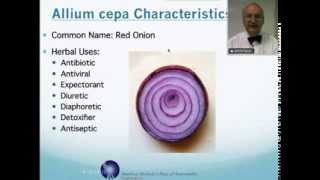 Allium Cepa Homeopathic Medicine Tips For Beginners [upl. by Lody]