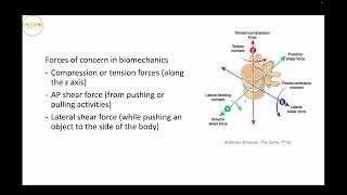 Neurosurgery Basics Lecture  Spine Anatomy and Biomechanics Part 2 [upl. by Pearl]