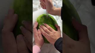 MELONE MIT OBERSCHENKEL ZERSTÖREN TUTORIAL [upl. by Ritter]