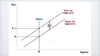 Burden of Taxation Relationship to Price Elasticity of Supply and Demand [upl. by Niu]