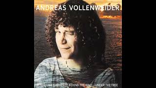 Andreas Vollenweider –  Behind The Gardens  lp SIDE2 cartridge CLEARAUDIO balanced output [upl. by Mcgrath580]