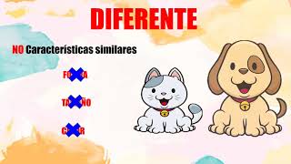 IGUAL DIFERENTE [upl. by Lyrahs]