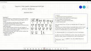 G 11 Karyotype Application Solution [upl. by Yrek808]