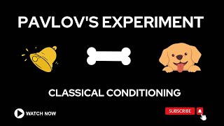 Pavlovs Bell Experiment Explained  Classical Conditioning [upl. by Kala]