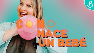 🤰🏻💥 ¿CÓMO NACE UN BEBÉ  Experimento Visual✨  Baby Suite bt Pau [upl. by Analak]