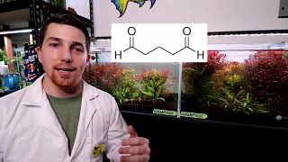 Does quotLiquid CO2quot Really Work  SideBySide Aquarium Experiment [upl. by Intihw]