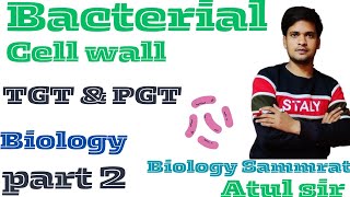 Bacterial cell wall and their Components and All about bacteriaClass 11th Biology by Atul Sir part2 [upl. by Ahsiekin328]