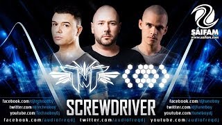 TNT Aka Technoboy N Tuneboy amp Audiofreq  Screwdriver [upl. by Nirtiak977]