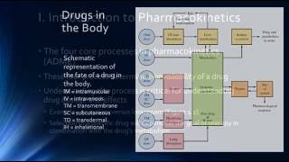 Psychopharmacology amp Pharmacokinetics [upl. by Ramirol]