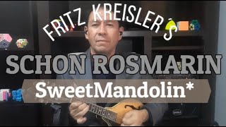 SCHON ROSMARIN Lovely Rosemary  Fritz Kreisler  Mandolin Cover [upl. by Ocram432]