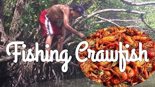 FISHING CRAWFISH COUNTRYSIDE LIFE  CountrySideLife primitivelifeBohol PhilippinesMimi [upl. by Leventhal]