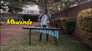 Jah Prayzah Mbwende Marimba cover 365days of Marimba Day 310 [upl. by Gaul570]