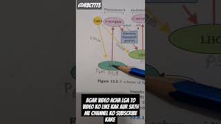 Z Scheme of light reaction । Photosynthesis in higher plants [upl. by Redmer823]