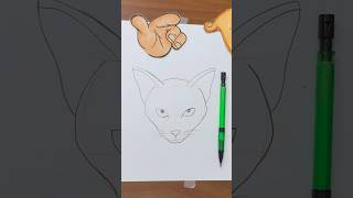 Segredo dos Desenhistas Como Desenhar um Gato Facilmente [upl. by Savadove]