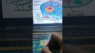 A Sunday in the Life of a SSC CGL Aspirant  Study Vlog  Revision ssccgl cgl24 sscchsl cgl2024 [upl. by Elyrehc2]