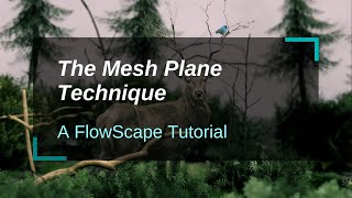 Bringing photos into FlowScape  Tutorial [upl. by Laius]