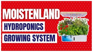 Moistenland Hydroponics Growing System Indoor Herb Garden Starter Kit [upl. by Ilsel]