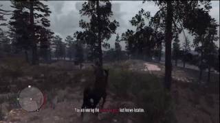 Red Dead Redemption  American Standardbred Horse [upl. by Roselba590]