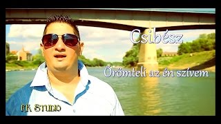 ► Szolnoki Csibész Örömteli az én szívem ZGmusic [upl. by Janela]